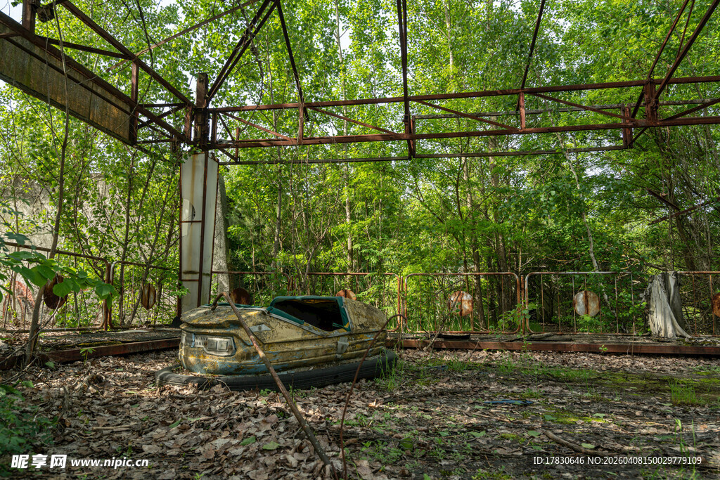 废弃凉亭隐于葱郁树林中