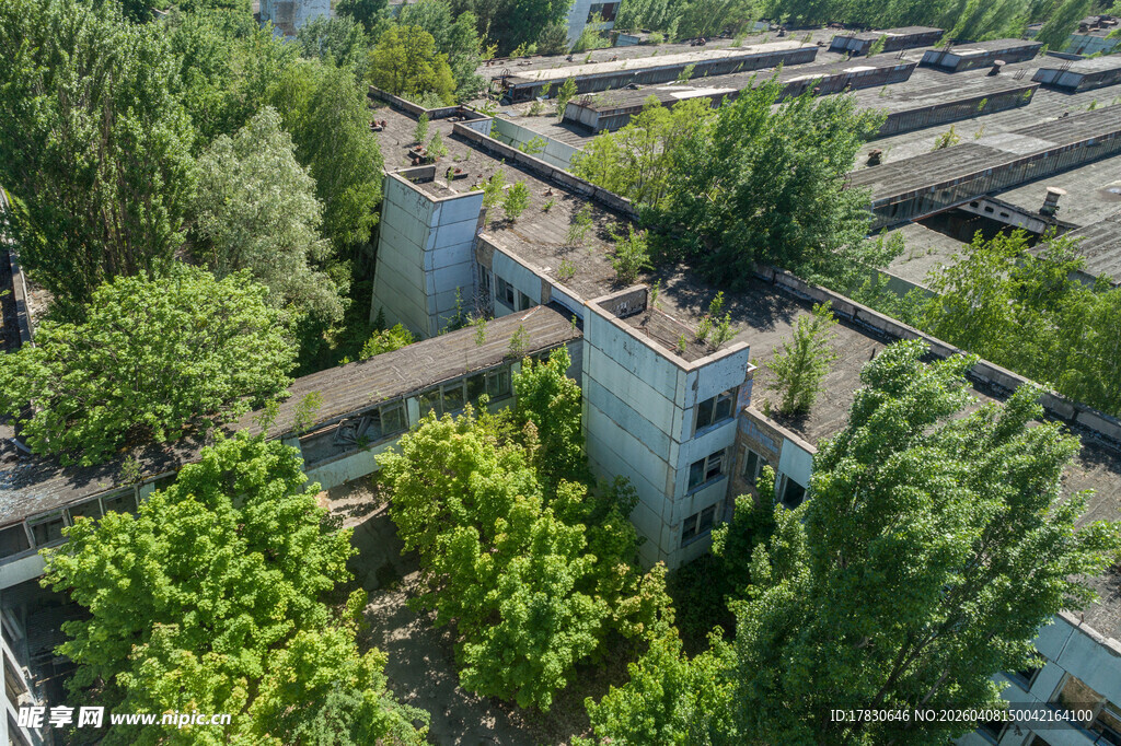 绿树环绕的住宅区景观