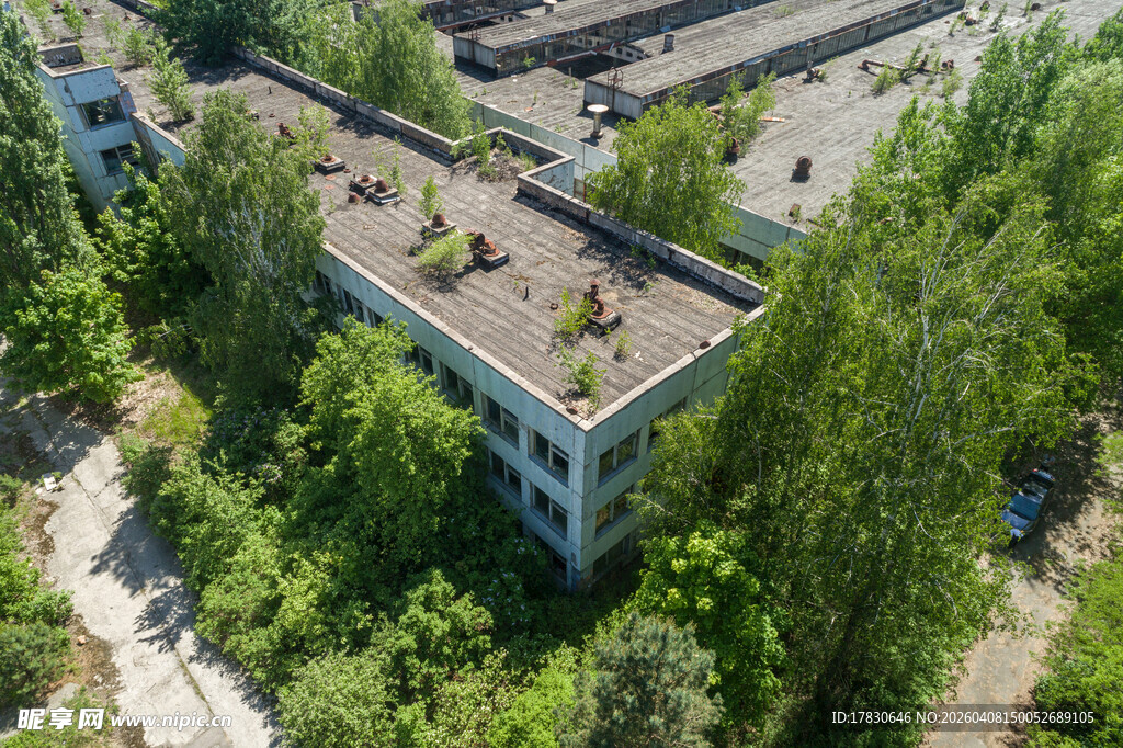 废弃楼房被绿植环绕