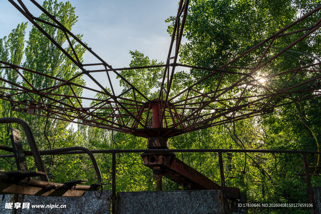 废弃的摩天轮隐于绿树间