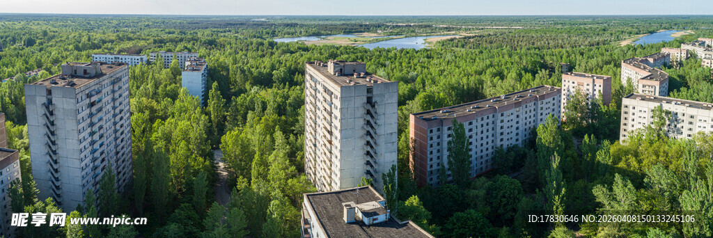 城市建筑群中的葱郁树林