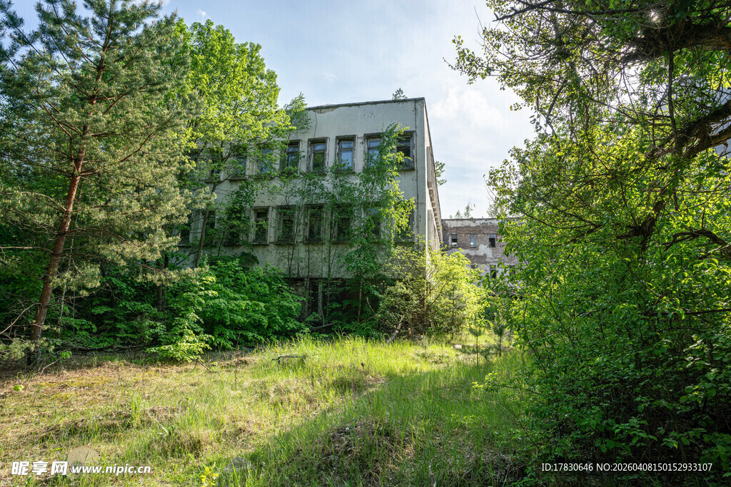 废弃建筑隐于繁茂草木间
