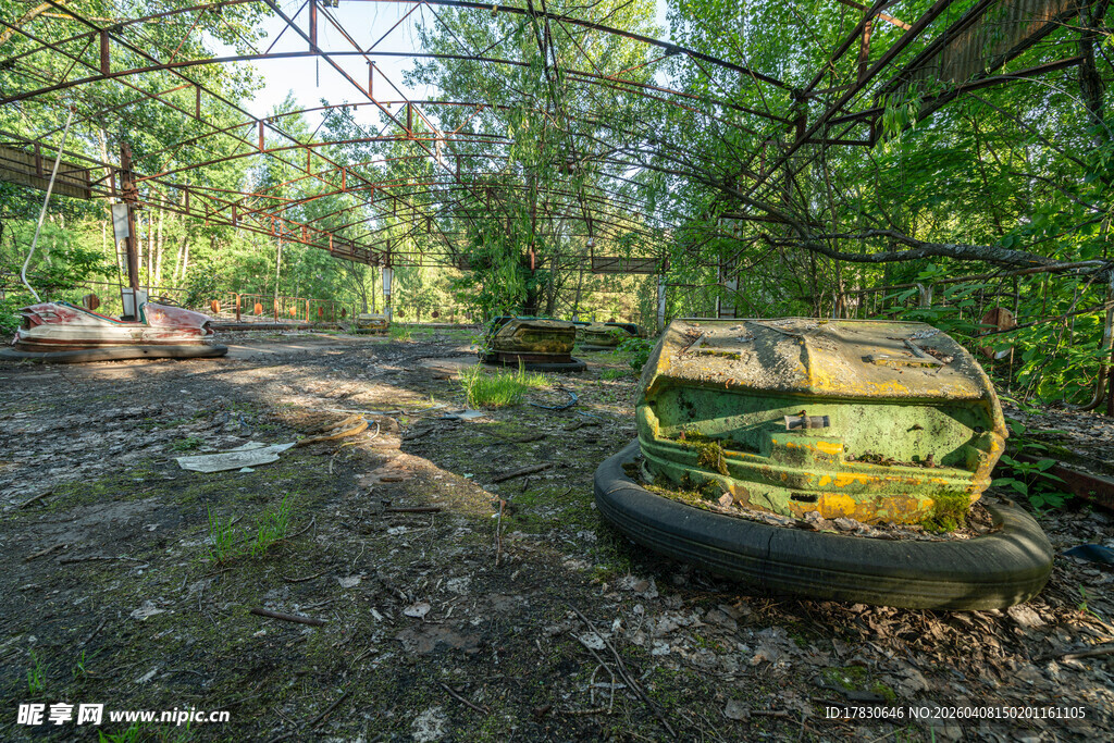 林间废弃旧轮胎与容器