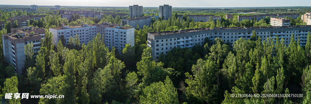 森林环绕的城市建筑群