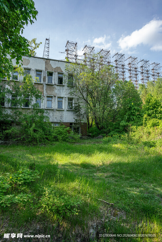 废弃楼房旁的绿意草地