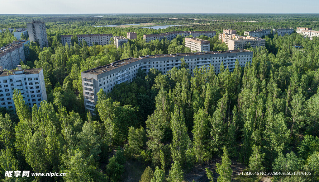 森林环绕的城市建筑群