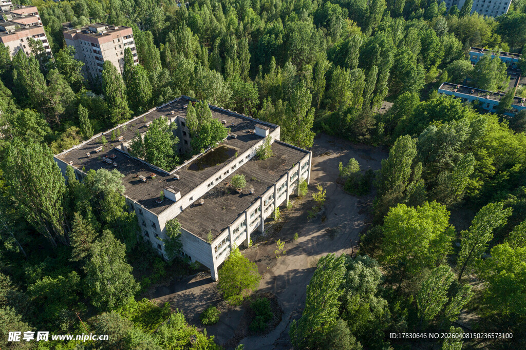 森林中的废弃建筑