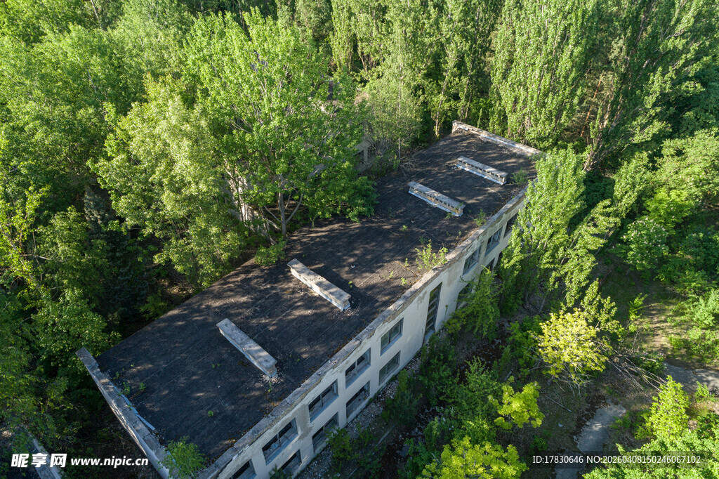 废弃建筑被绿植环绕