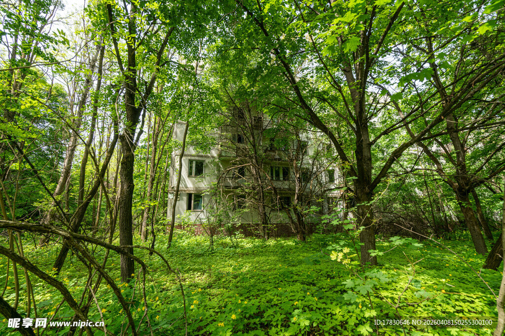 森林中的神秘古老建筑