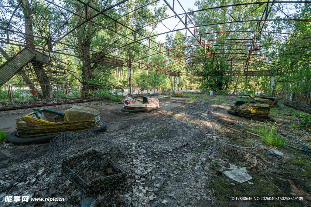 森林中的工程机械场景