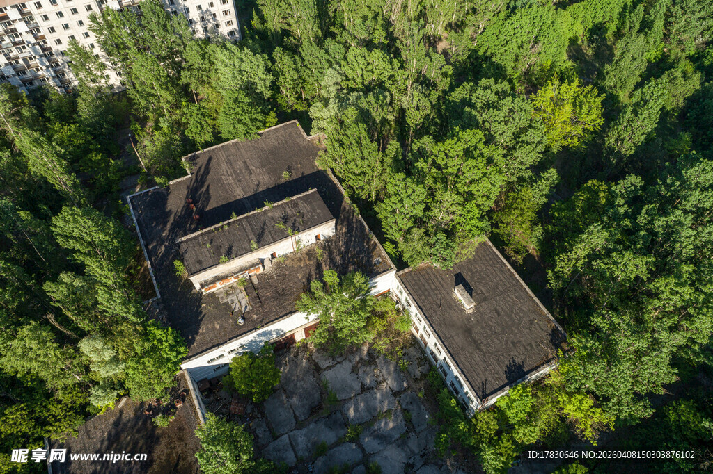 林间小屋自然静谧之景