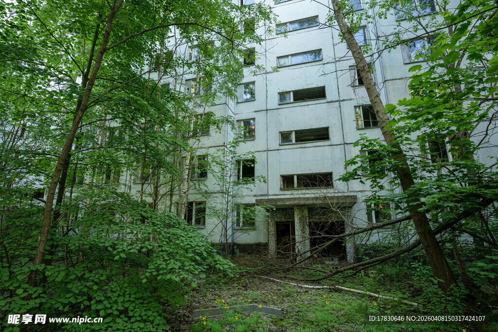 废弃楼房被绿植环绕