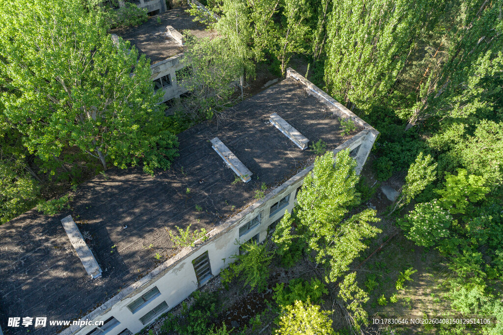 废弃建筑被绿植环绕
