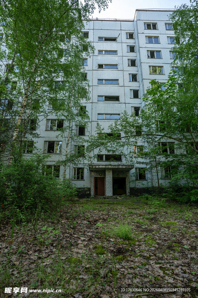 废弃楼房被绿植环绕