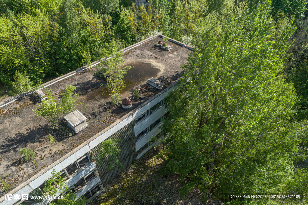 废弃建筑上的绿植景观