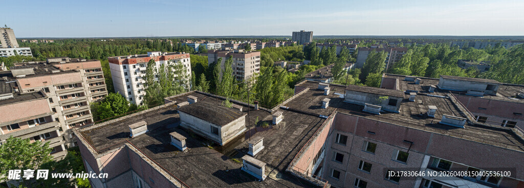 城市屋顶景观与远处绿树