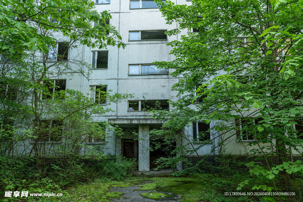 废弃楼房被绿植环绕