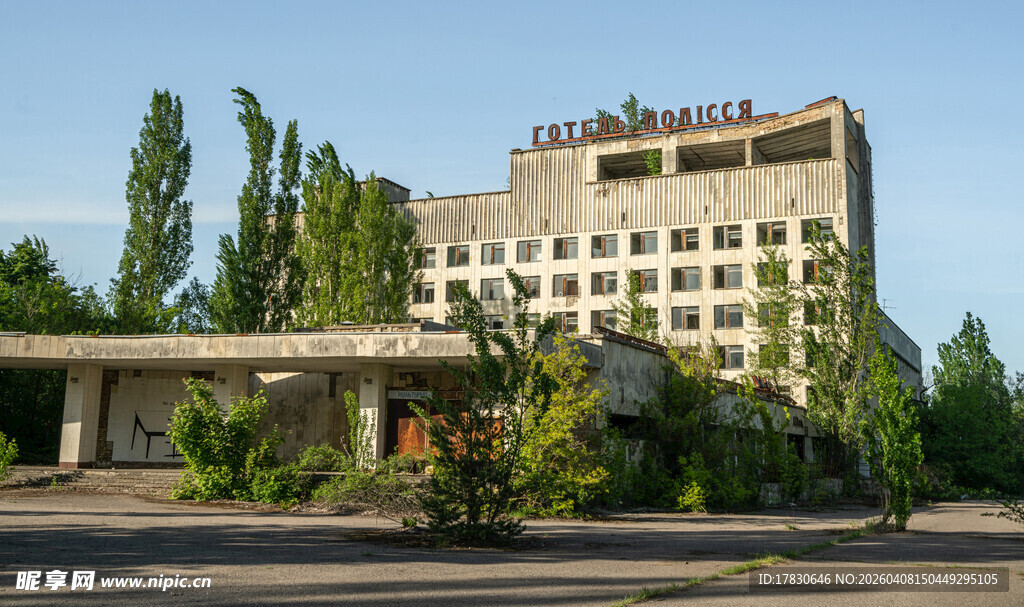 废弃大楼前的绿植景观