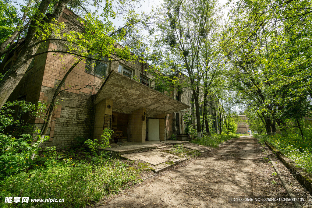 荒废房屋隐于葱郁树林间