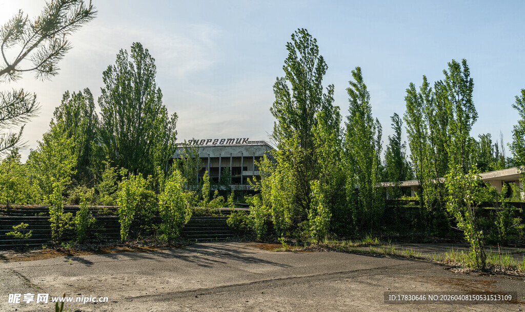 绿树环绕的开阔场地