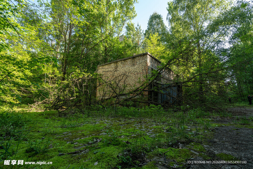 林间废弃小屋