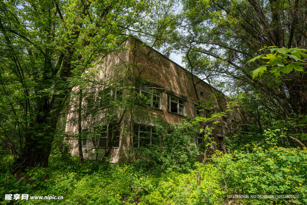 被绿植环绕的老旧废弃建筑