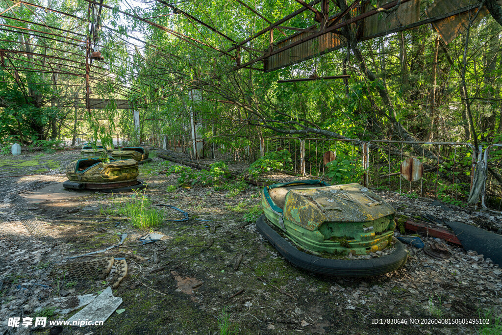 废弃丛林中的老旧机械设备