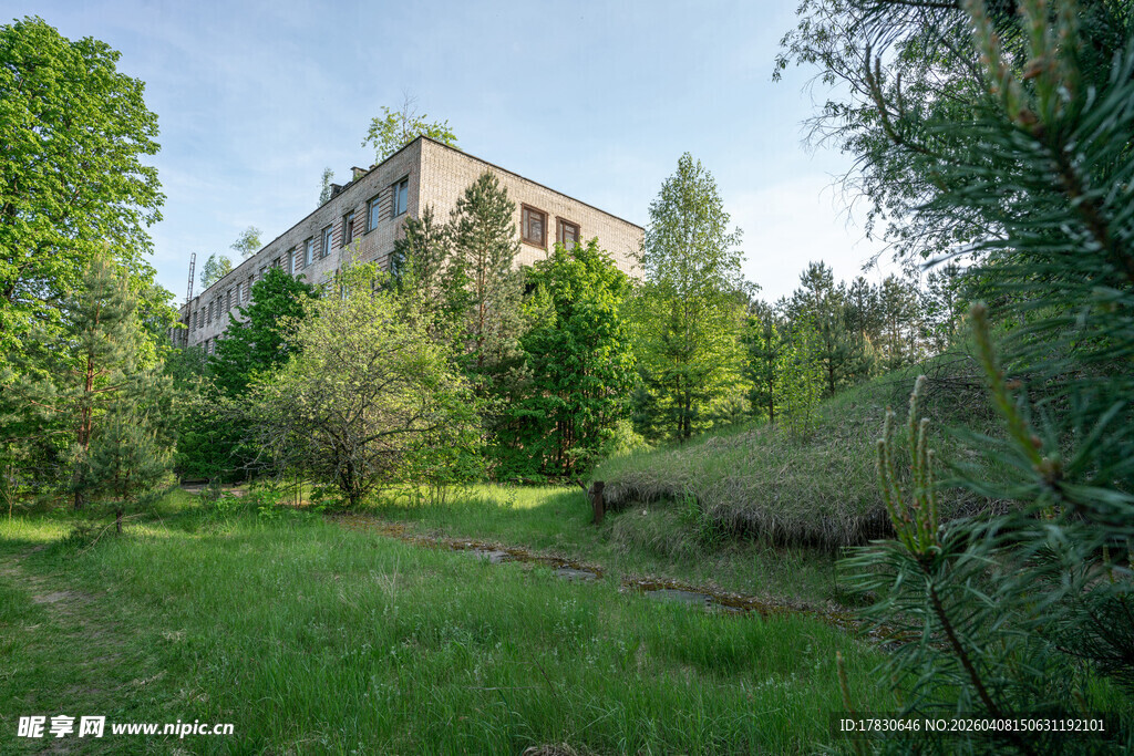 绿树环绕中的古老建筑