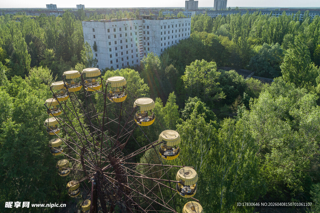 森林中的复古摩天轮景观