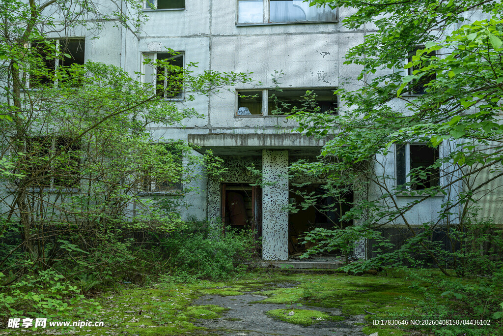 废弃楼房被绿植环绕