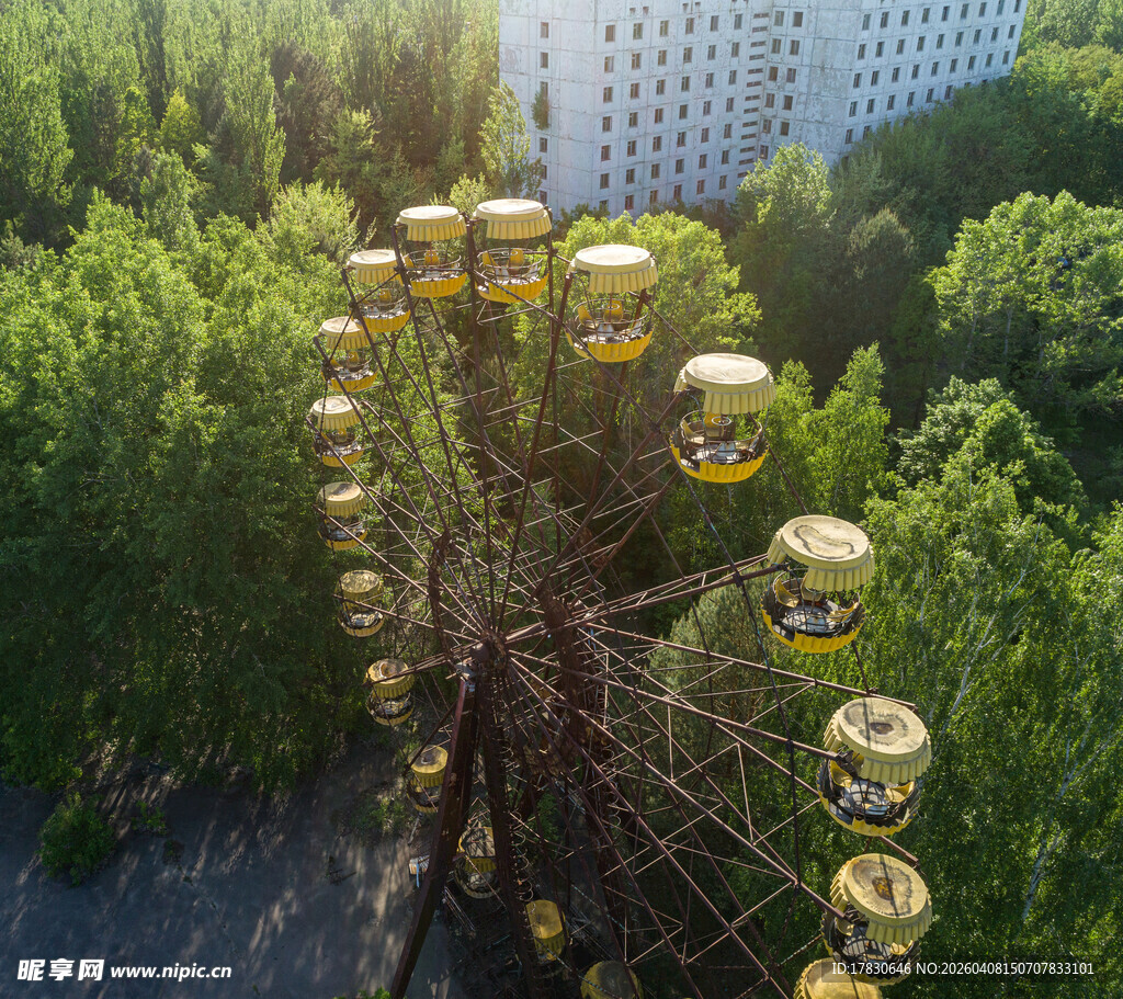 废弃摩天轮隐于葱郁树林
