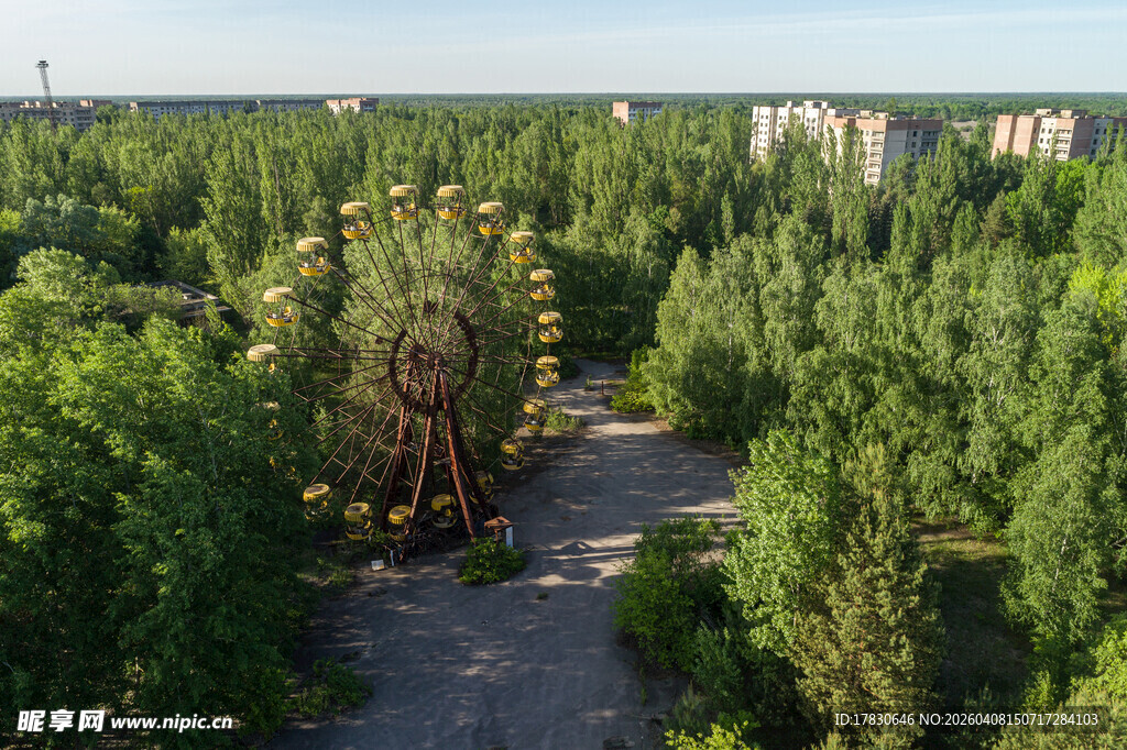 废弃摩天轮隐于葱郁树林
