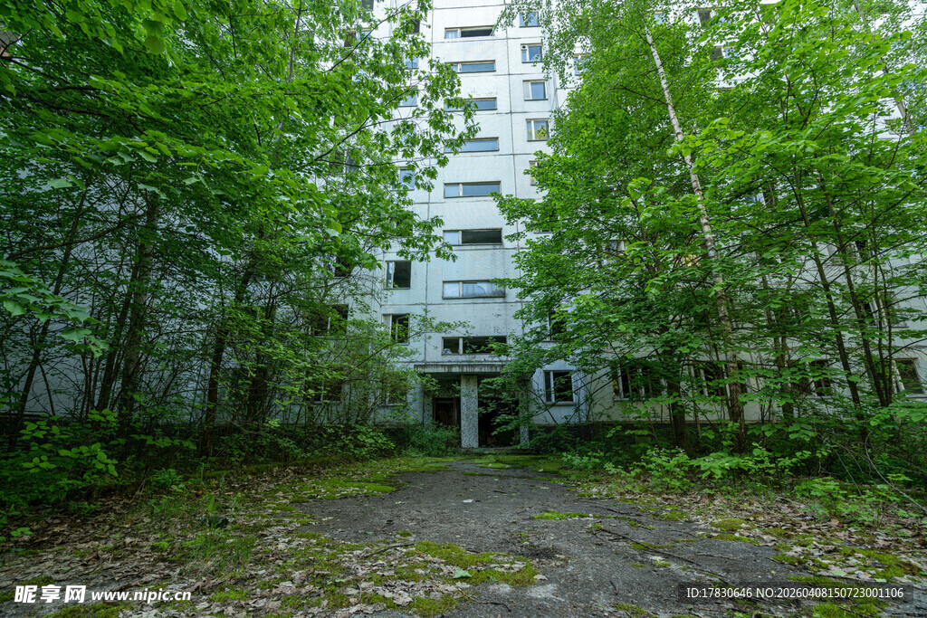 废弃建筑隐于葱郁树林中