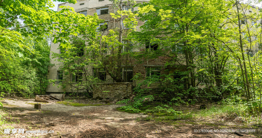 废弃建筑旁的繁茂绿植