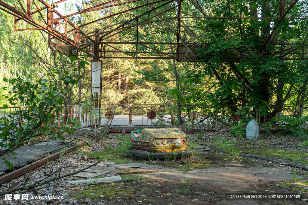 废弃玻璃房中的自然景象