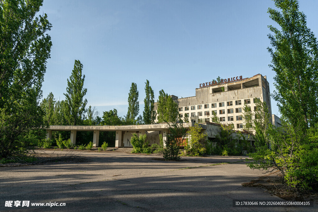 废弃建筑旁的绿树景观