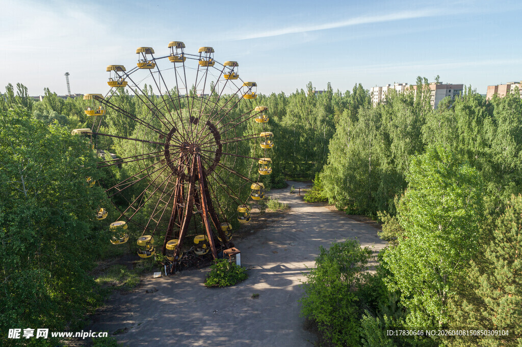 废弃摩天轮隐于葱郁林间
