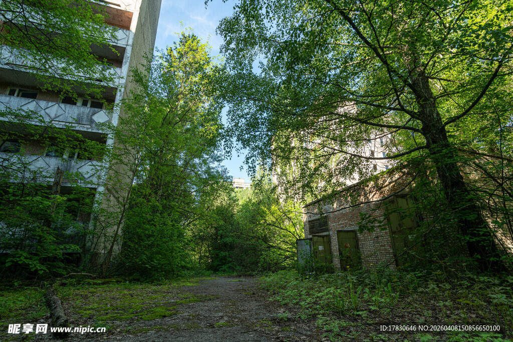 林间小径旁的废弃建筑