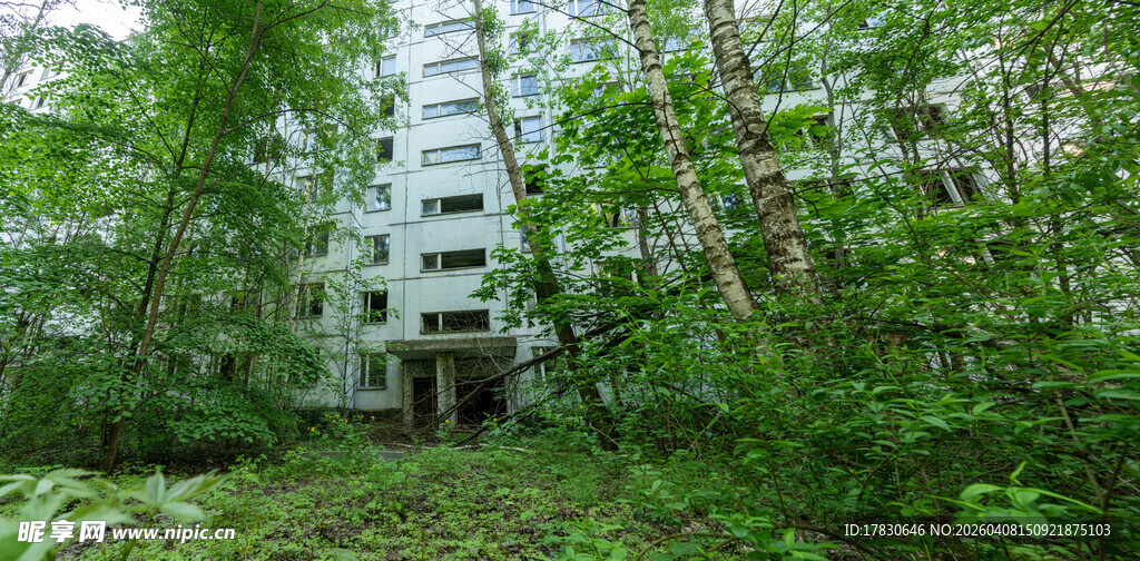 森林中的废弃多层建筑