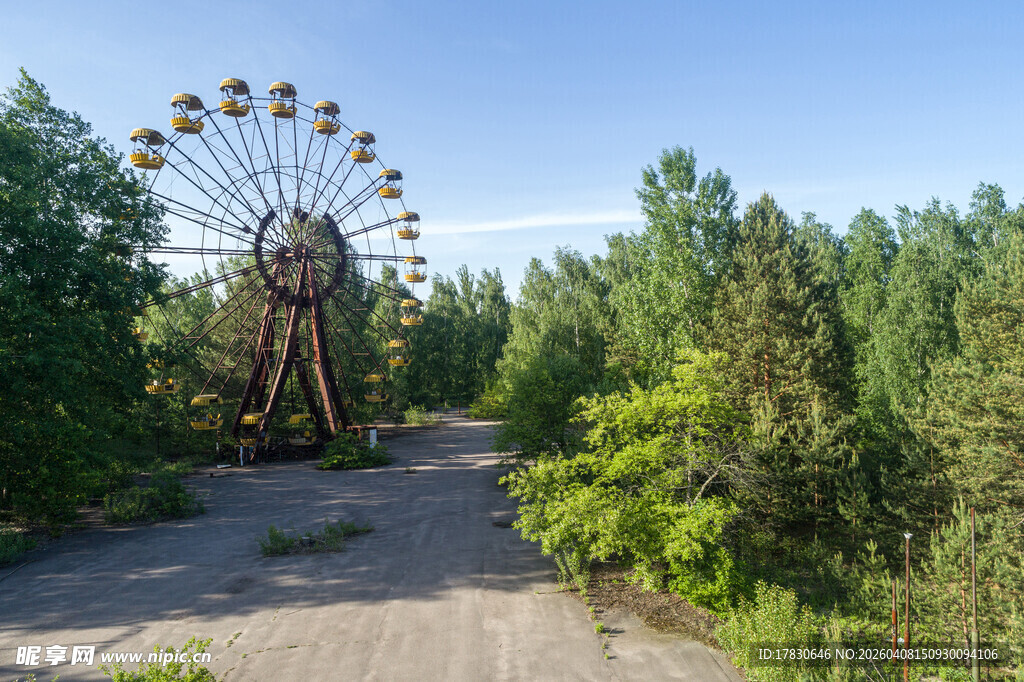 废弃摩天轮立于林间小道