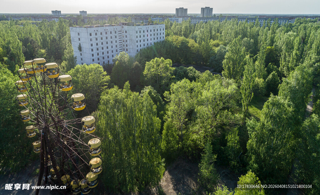 绿树环绕中的建筑景观