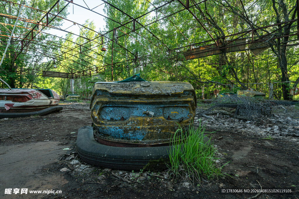 废弃汽车残骸于林间景象