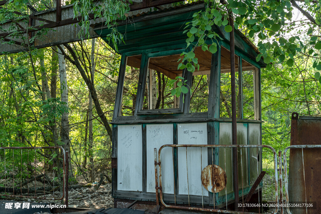 废弃林中旧亭绿意环绕