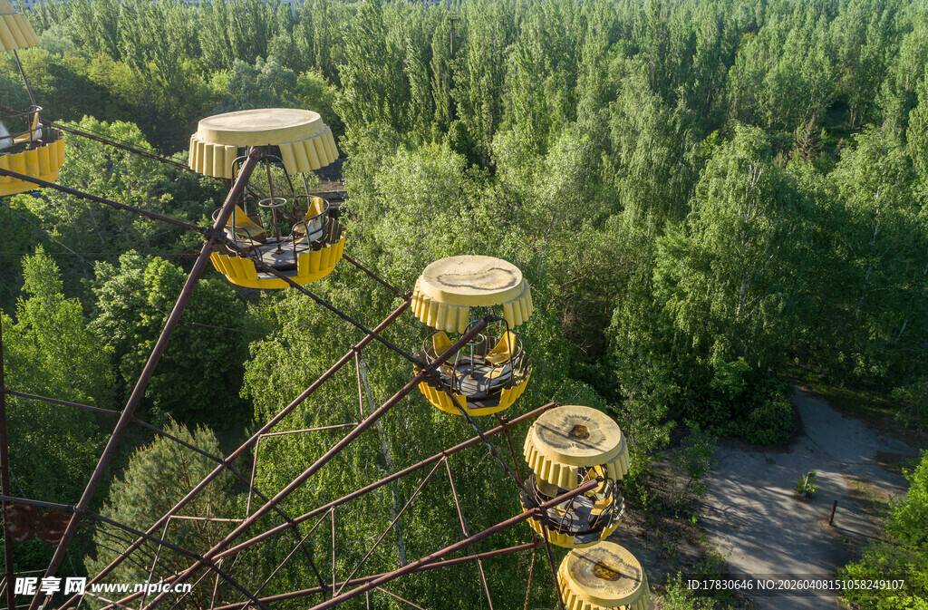 森林中的旋转游乐设施