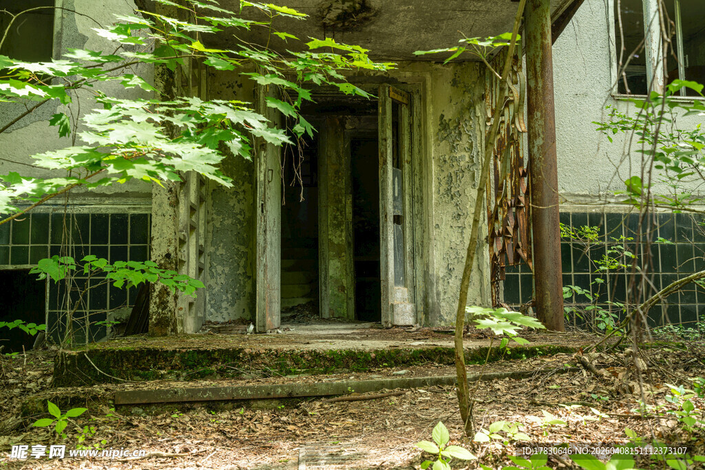废弃房屋隐于绿植之中