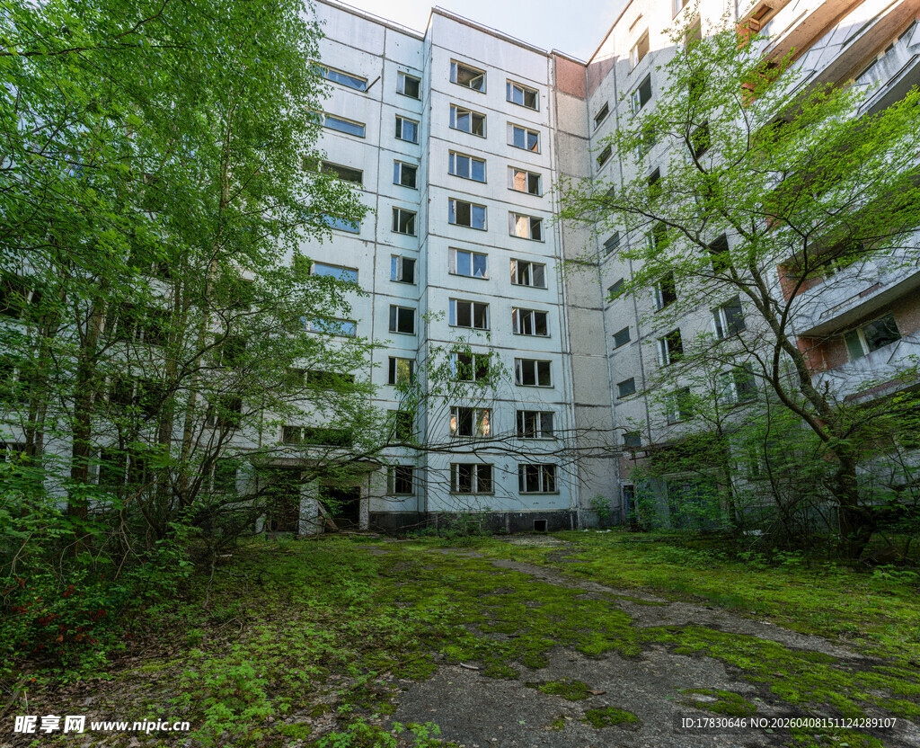 废弃公寓楼旁的荒芜绿地