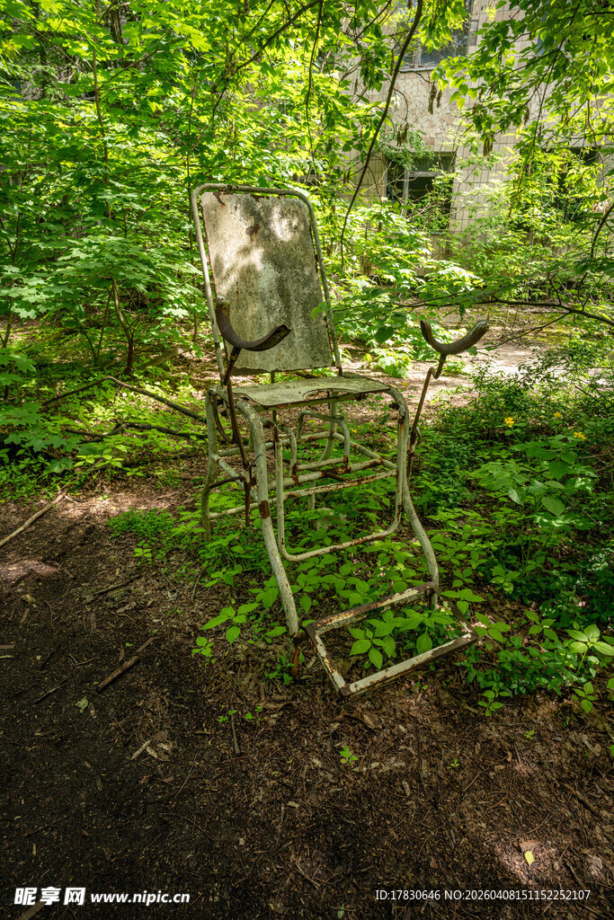 林间旧梯隐匿于绿意之中