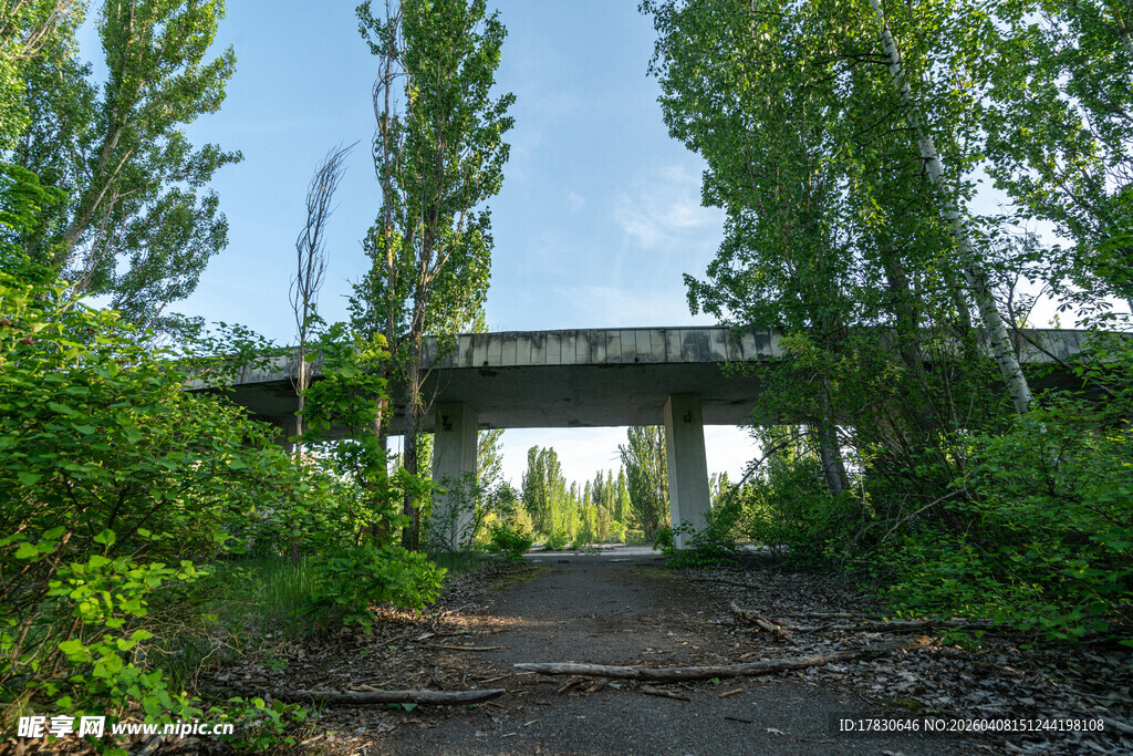 废弃桥梁下的绿意小径