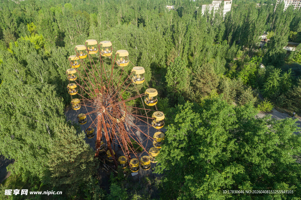 森林中的多彩摩天轮