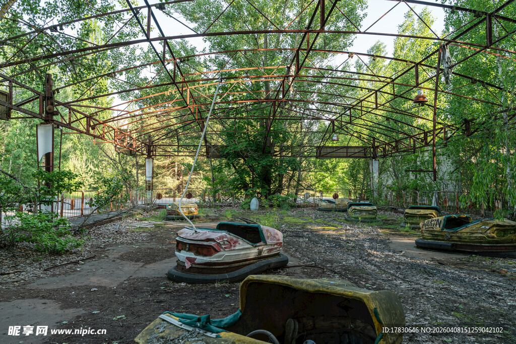 废弃温室中的自然景象